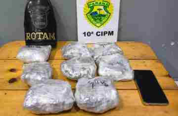 Laranjeiras – Rotam apreende substancia análoga a maconha em ônibus na rodoviária 